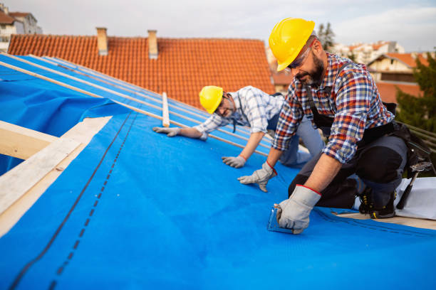 Best Roof Insulation Installation  in Aberdeen, IN